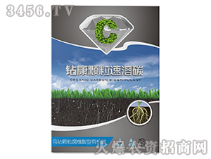 �@���w������̼-����