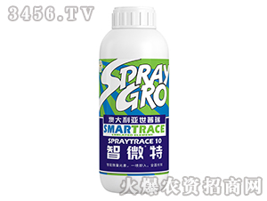 ��΢��-����