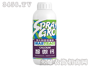 ��΢�}-����