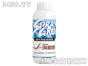 ������-����