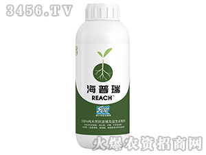 ������-����