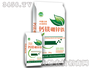 �}�V���\�F-�@���S-���S�ʘI(y��)