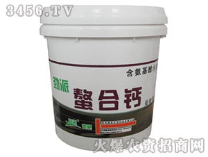 �����}-����-�������