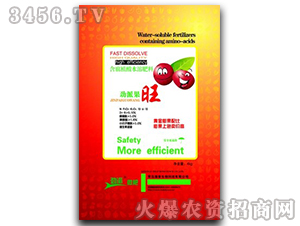 ����ֲ��ˮ�ܷ���-���ɹ���-�������