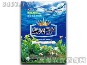 ��(f��)��΢�������-����ھ�-�������