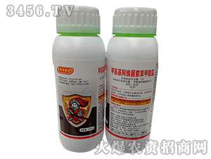 1%�װ������S���ر������}����-ِ�ؠ��r(n��ng)��-����ɭ