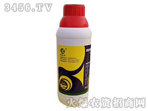 �ݸ����������}��41%��-����ɭ