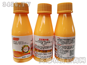 �|̦�؃�(n��i)��-ِ�ؠ��r(n��ng)��-����ɭ