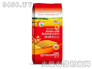 �������(f��)�Ϸ���18-20-5-�G�S��-�G��