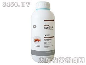 �����Ϳ����-��(r��n)�_(d��)�|��14̖(h��o)-��(r��n)�_(d��)�ʘI(y��)