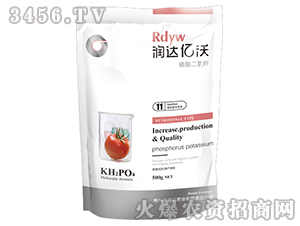 ��������-��(r��n)�_(d��)�|��11̖(h��o)-��(r��n)�_(d��)�ʘI(y��)