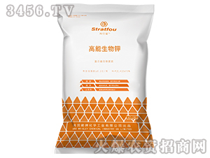 ���������-ʩ����-�к̄���