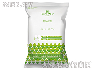 ������28-12-10+TE-ʩ����-�к̄���