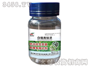 ���λ����������Ì�(zhu��n)��Ƭ��-�׽�����`-��(��i)�r(n��ng)˹�_(d��)