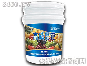 ���״ٻ�-�Z����