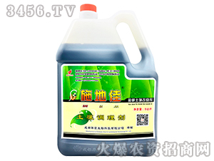 �����{(di��o)�턩-ʩ�ؼ�-�A�����B(t��i)