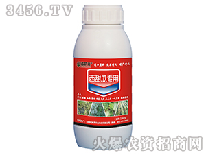 ����ό�(zhu��n)��-�Z����