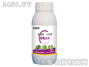 ˪ù�ؿ�-�Z����