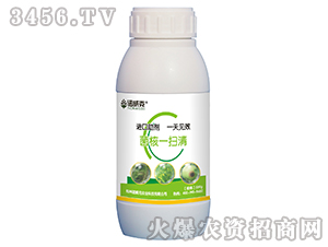 ����һ����-�Z����