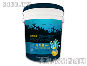 ���~��ԭ�{-��ؾ��A-��ʢ�ʘI(y��)