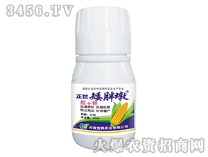 ���׿�����-���ֶ�-���䌍(sh��)�I(y��) 