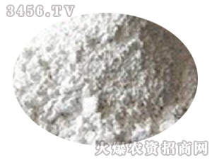 ���������|(zh��)ĵϠ��-��������