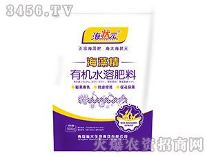 ���徫-����Ԫ-��������