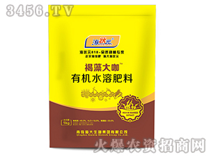 �����-����Ԫ-��������