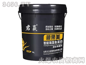 ���ܺ����~(y��)����΢�������-������-��������