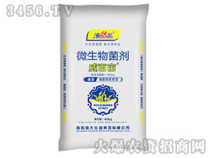 ���ٮ�΢�������-����Ԫ-��������