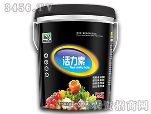 ������-����-�������H