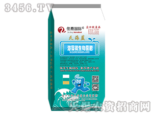 ����΢�������-�캣�{(l��n)-ס�̇��H