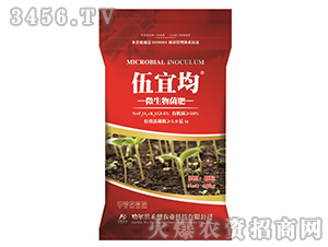 ΢�������-���˾�-�r(n��ng)�󻯹�