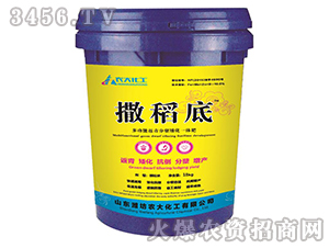 �๦�ܷ�����Y����һ�w��-������-�r�󻯹�