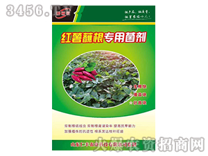 �t��պ�����þ���-���S�r(n��ng)�I(y��)