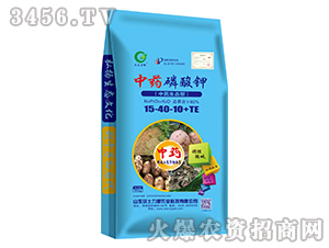 ��ˎ�����15-40-10+TE-��������