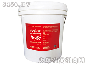 ���޼t�f�t-�{(l��n)������