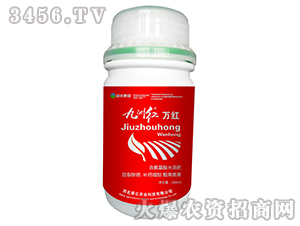 ���޼t���f�t��-�{(l��n)������