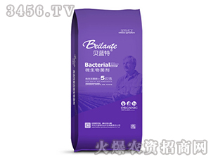 ΢�������-ؐ�{(l��n)��-�{(l��n)������