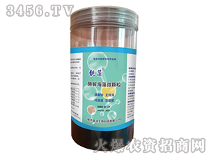 ø�⺣��΢�w��-�n��-��������