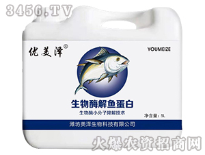 ����ø���~����-��(y��u)����-��������