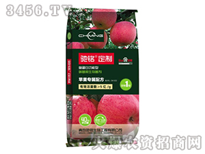 �O������΢�������-�Y㑶���-�Y�����