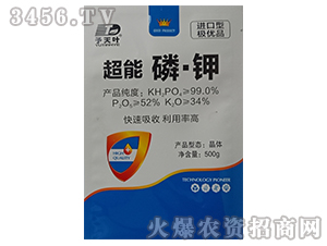 �����ס�⛣�500g��-�����~-���~����