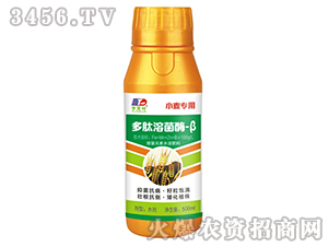 �����ܾ�ø-��-С������-���~����