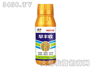 ���S��-ˮ������-���~����