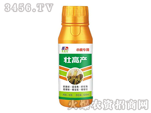 �Ѹ߮a(ch��n)-С������-���~����