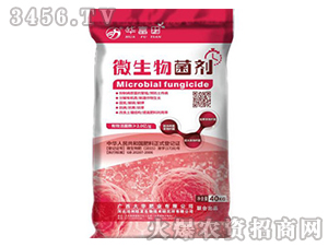 ΢�������-�Aϲ��-���A