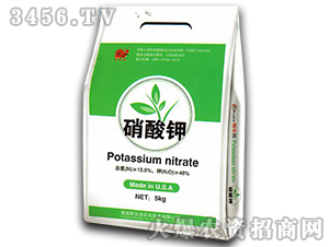 �����-˹����-�|�r(n��ng)