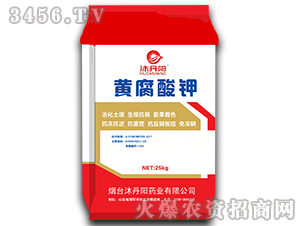 �S�����-�嵤�