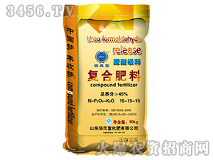 ��(f��)�Ϸ���15-15-15-���ϸ�